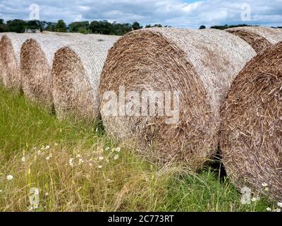 Heuballen und Stoppeln auf einem Feld, East Lothian, Schottland, Großbritannien. Stockfoto