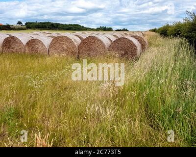 Heuballen und Stoppeln auf einem Feld, East Lothian, Schottland, Großbritannien. Stockfoto