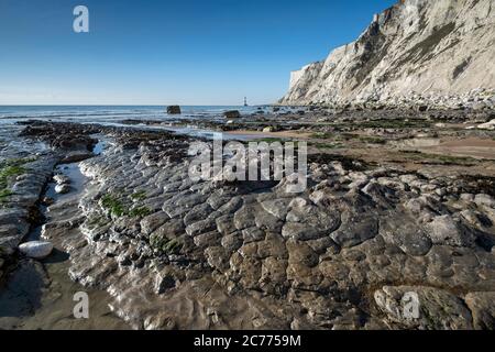 Wave Cut Platform & Beachy Head Lighthouse, unter Beachy Head White Chalk Cliffs, Beachy Head, in der Nähe von Eastbourne, South Downs National Park, East Sussex Stockfoto