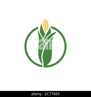 Landwirtschaft Mais Vektor Symbol Design Vorlage Stock Vektor