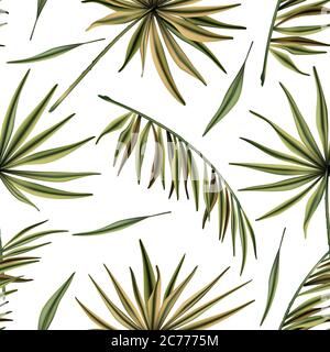 Realistische bunte tropische Palmenblätter Vektor nahtlose Muster. Dschungel botanischen Sommer Hintergrund. Exotische grüne Natur Tapete. Stock Vektor