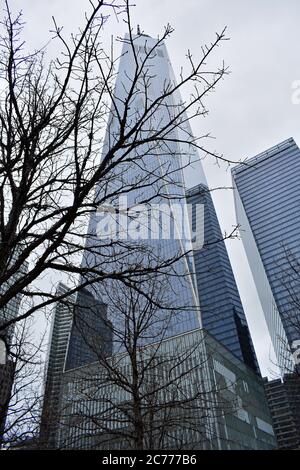 Ein World Trade Center erhebt sich an einem bewölkten Tag hinter einem Baum. Die umliegenden Gebäude spiegeln sich im Glas des Wolkenkratzers. Stockfoto