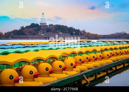 Peking, China - Jan 11 2020: Eine Flotte von segelnden Entenbooten wartet im Winter auf den Dienst im Beihai Park Stockfoto