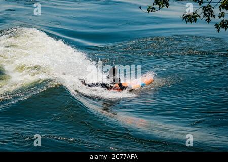 Surfen im St. Lawrence River in Montréal - Québec, Kanada Stockfoto