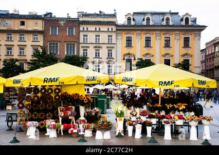 Polnische Leute verkaufen und kaufen Baumpflanzen und Blumen Geschenke aus lokalen Lebensmittelgeschäft kleinen Laden in Rynek Glowny Markt in Krakau Altstadt Hauptplatz am Stare M Stockfoto