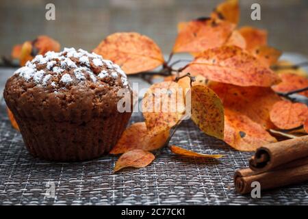 Schokoladen-Muffins mit Apfelfüllung auf einem Hintergrund aus Herbstblättern und Zimt Stockfoto