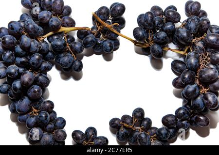 Reife frisch gepflückte dunkle Trauben isoliert auf weißem Hintergrund. Rahmen von Früchten für Design. Stockfoto