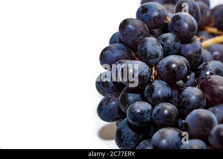 Trauben von dunklen Trauben isoliert auf weißem Hintergrund. Reife frische dunkle Traube Nahaufnahme isoliert auf weißem Hintergrund. Für Text platzieren. Stockfoto