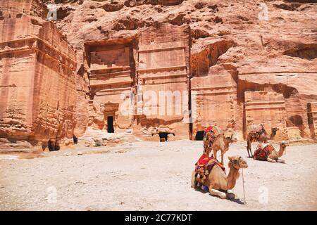 Jordanien Reise Hintergrund mit Kamelen vor Klosterruinen in Wadi Rum Wüste. Naturlandschaft Stockfoto