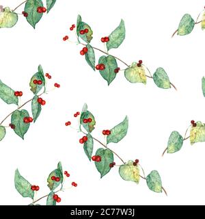 Japanische Honigseide (Lonicera japonica, goldenes und silbernes Geißblatt) Blätter und reife rote Beeren Nahaufnahme Zweig, handbemalt Aquarell Stockfoto