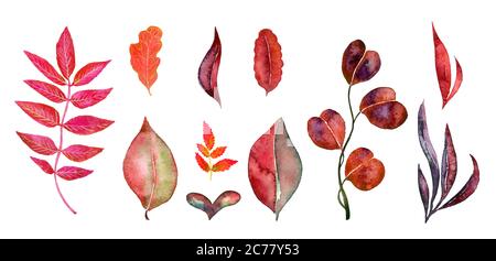 Aquarell rote Blätter Set Sammlung isoliert auf weiß handbemalte Aquarell-Illustration Stockfoto