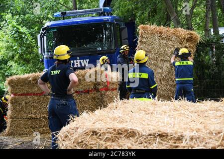 Potsdam, Deutschland. Juli 2020. Julian Stähle/-/ Kredit: dpa picture Alliance/Alamy Live News Kredit: dpa/Alamy Live News Stockfoto