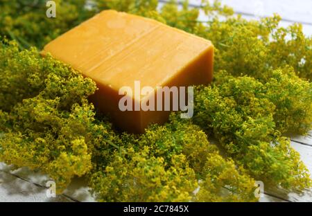 Das Bild zeigt blühendes Hackbrett und ein Stück Käse auf weißen Brettern Stockfoto