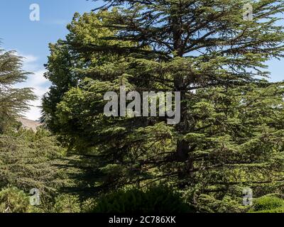 Königlicher Palast von La Granja de San Ildefonso, Segovia, Spanien Stockfoto