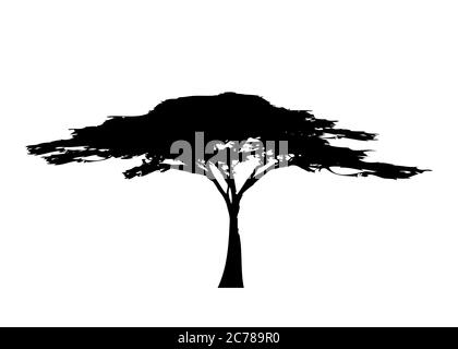 Afrikanischer tropischer Baum Logo Symbol schwarz und weiß Farbe, Akazienbaum Silhouette, grüne Natur Safari Ökologie Konzept, biologische Konzept Natur, zu isolieren Stock Vektor