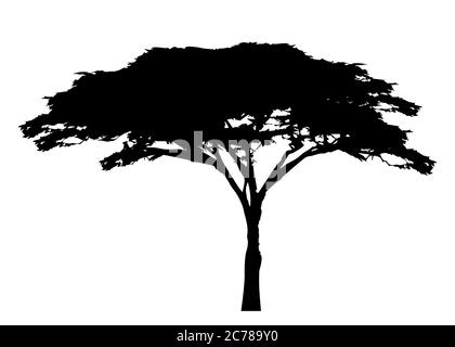 Afrikanischer tropischer Baum Logo Symbol schwarz und weiß Farbe, Akazienbaum Silhouette, grüne Natur Safari Ökologie Konzept, biologische Konzept Natur, zu isolieren Stock Vektor