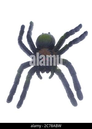 Spielzeug-Spinne auf weißem Hintergrund Stockfoto
