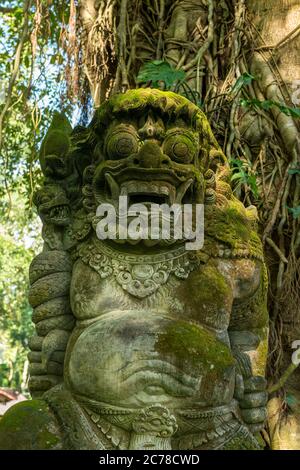 Blick auf den heiligen Affenwald in Ubud Stockfoto