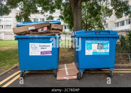 Große blaue Behälter für recycelbaren Abfall. Eine ist nur für Karton und die andere ist für das allgemeine Recycling. Stockfoto