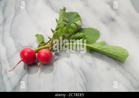 Studio-Aufnahme von frisch gepflückten Rettich auf einer Marmoroberfläche - John Gollop Stockfoto