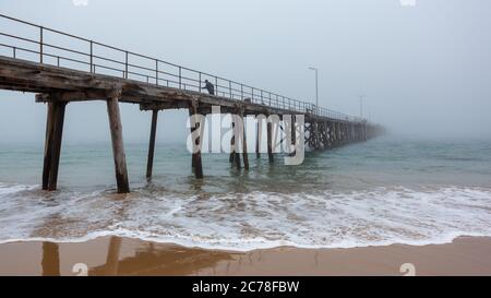 Der Hafen noarlunga mit einem schweren Morgennebel in Port noarlunga South australia am 14 2020. juli Stockfoto