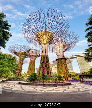 Singapur Supertrees im Garten an der Bucht in Bay South Singapore