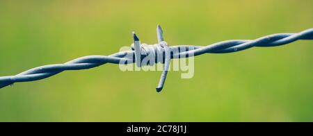 Stacheldraht auf grünem Hintergrund Stockfoto