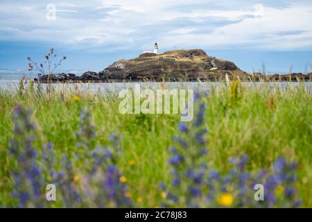 Blick auf den Leuchtturm auf Fidra Island im Firth of Forth, vor der Ostküste von Lothian, Schottland, Großbritannien Stockfoto