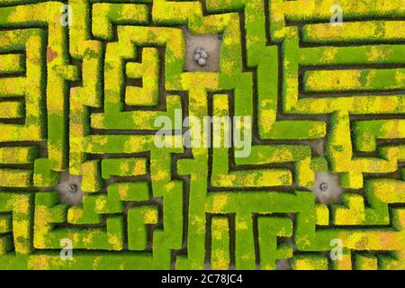 Luftaufnahme von Drohne von Labyrinth im Traquair House in Scottish Borders, Schottland, Großbritannien Stockfoto