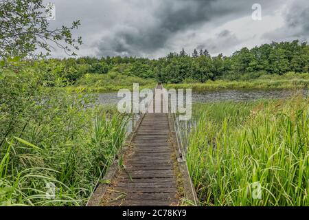 Fußgängerbrücke über einen See in Karlsgaarde, Dänemark Stockfoto