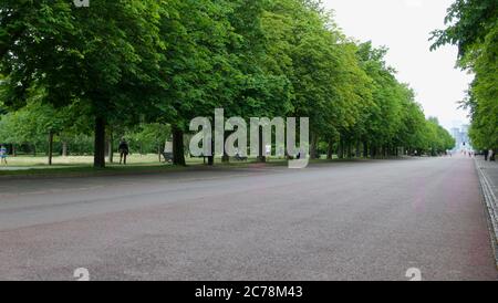 11. Juli 2020 - Greenwich, London, UK: Allee der Bäume mit Kopierraum Stockfoto