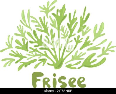 Frisee-Kopfsalat-Doodle-Symbol. Cartoon Frisee Salat Illustration. Frisee niedlichen Salat einfaches Design. Salatblätter Silhouetten. Moderne Stilelemente für Stock Vektor