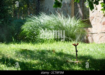 Grüner Rasen und Wasser-Sprinkler für die Bewässerung im Hinterhof des Hauses an einem hellen sonnigen Tag. Stockfoto