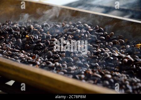 Frisch geröstete Kaffeebohnen - Salento, Kolumbien Stockfoto