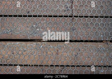 Repariert Holzplanke Boardwalk in Metalldraht sechseckigen Mesh mit Klammern hält die beschädigte Kante des Drahtes ohne Hintergrund abgedeckt. Stockfoto