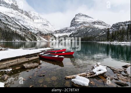 Rote Kanus in verschneiten Tal am hölzernen Pier geparkt. See O'hara, Yoho Nationalpark, Kanada Stockfoto
