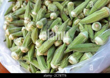 Frische Okra, Nahaufnahme Gumbo auf einem Markt. Stockfoto