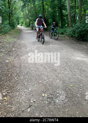 Vater und Sohn beim Radfahren in Epping Forest, London Stockfoto