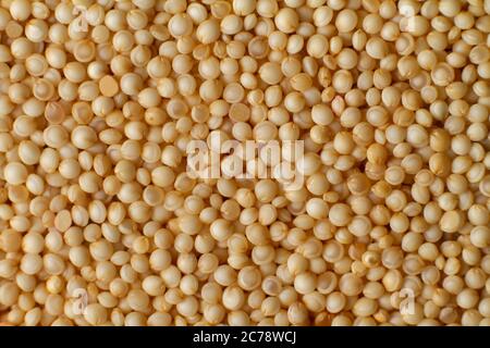 Makrofoto Couscous. Gelbe Körner von Weizengrits, Kuskus, Grieß, Universal-Brei zum Frühstück. Stockfoto