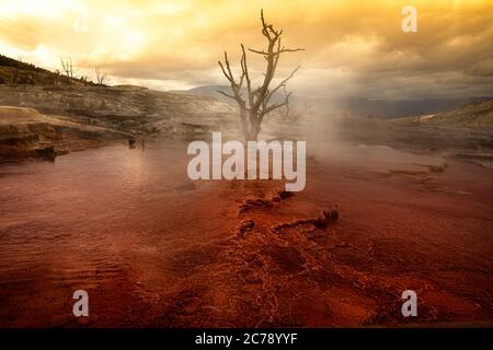 Surreale, dramatische außerirdische Landschaft, Mammoth Hot Springs, Yellowstone National Park Stockfoto