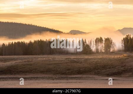 Nebliger Herbstmorgen im Yellowstone National Park Stockfoto