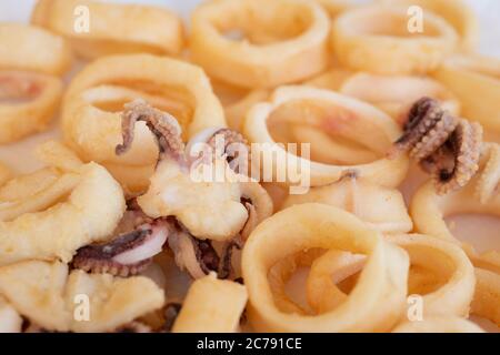 Gebratene Tintenfische oder Tintenfische (Calamari) isoliert auf weißem Hintergrund Stockfoto