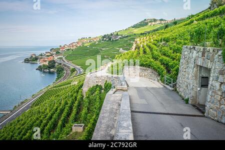 Wanderweg inmitten der terrassenförmig angelegten Weinberge von Lavaux und des Dorfes Rivaz am Genfersee in Lavaux Waadt Schweiz Stockfoto
