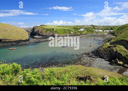 Abercastle Pembrokeshire Wales Stockfoto