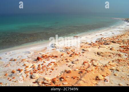 Dead Sea, Ein Gedi, Israel Stockfoto