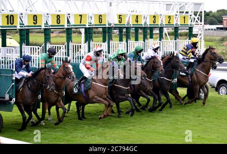 Läufer und Fahrer verlassen die Stände, während sie in der Racing TV Gewinne wieder Racing Handicap auf Catterick Bridge Racecourse konkurrieren. Stockfoto