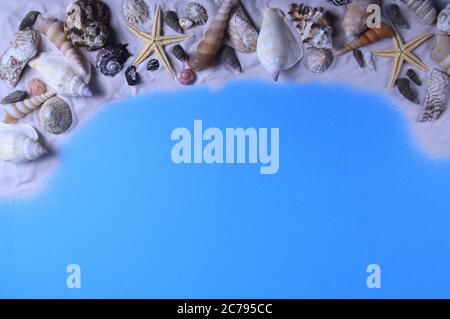 Mischung aus Muscheln auf Sand und blauem Hintergrund Stockfoto