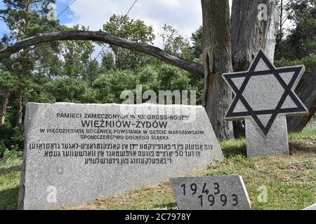 15. Juli 2020, Rogoznica, Dolny Slask, Polen: Das Lager Groß-Rosen wurde im August 1940 als Zweigstelle des KL Sachsenhausen gegründet, dessen Gefangene im örtlichen Granitbruch arbeiten sollten. Der erste Transport kam dort am 2. August 1940 an.am 1. Mai 1941 erhielt das Arbeitslager Groß-Rosen den Status eines unabhängigen Konzentrationslagers. In den ersten zwei Jahren des Bestehens von KL war Gross-Rosen ein kleines Lager, das noch immer auf den Steinbruch ausgerichtet war. Stockfoto