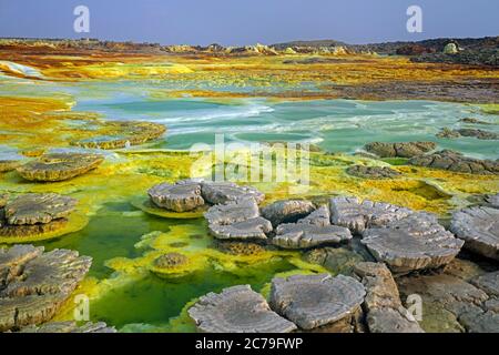 Dallol Schwefelquellen / heiße Quellen in der Danakil Depression Entladung Sole und saure Flüssigkeit in grünen Säure Teiche, Afar Region, Äthiopien, Afrika Stockfoto