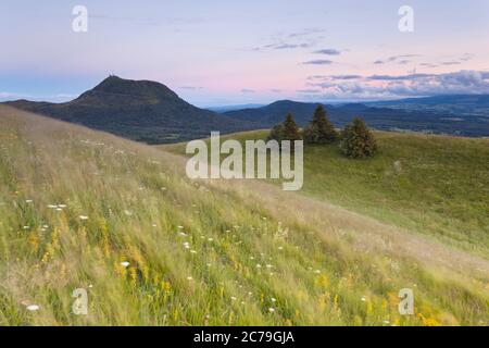 Puy de Dome - Vulkan in der Auvergne an einem Sommerabend. Mountain Top, Green Hill, Grassland. Frankreich Stockfoto